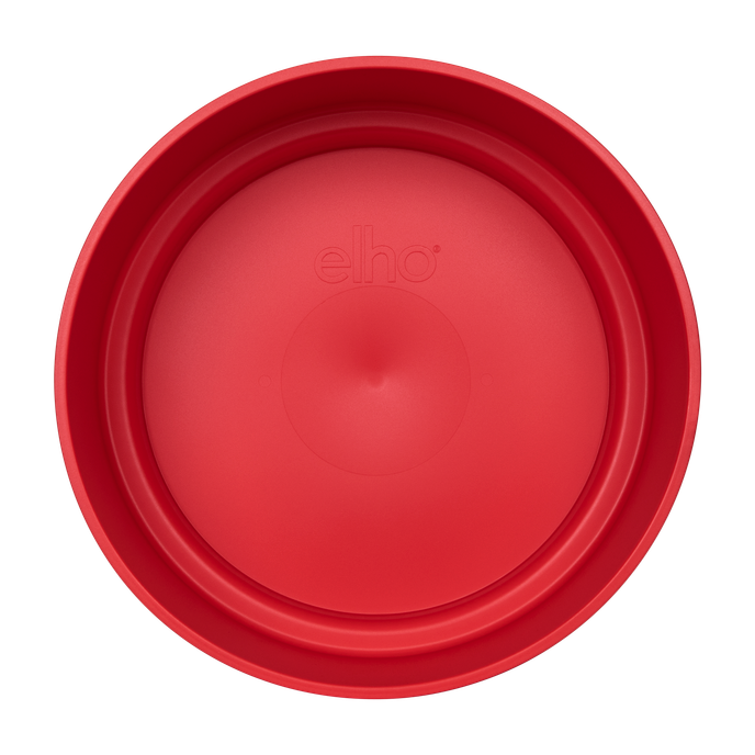 b.for studio schaal 30cm briljant rood